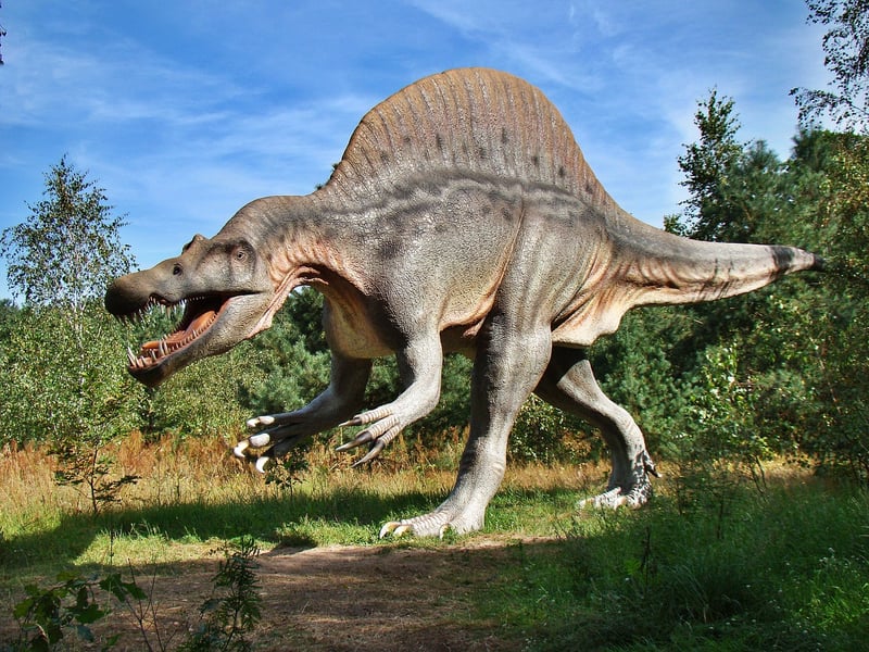 Dinosaur Encounters