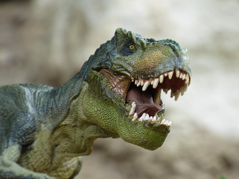 Tyrannosaurus Rex in the Cretaceous Period